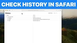 How to Check History in Safari on Mac (Tutorial)