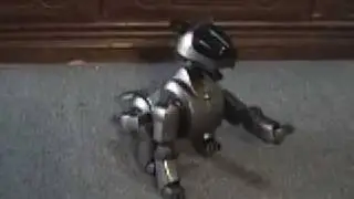 Disco Sparky