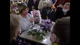 ДФ. Н.Данилова-Суворова. Презентация сортов сенполий НД-