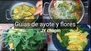 Caldo de guías de calabaza o ayote
