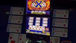 Ultimate X! Live Royal! #highroller #videopoker #gambling #handpay #highstakesgaming #livelife365