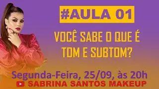 Aula 1- Você sabe o que é tom e subtom de pele?