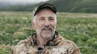 Трейлер к фильму «Нерка. Рыба красная», 2020 г.