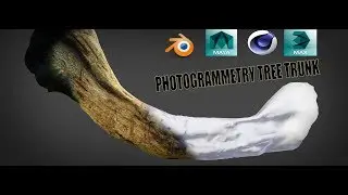 blender 2.8 , blender 2.9, maya ,3dmax , c4d and all 3d softwares.....PHOTOGRAMMETRY TREE TRUNK