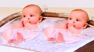 TOP Cute Twin Babies of The Week - Funny Baby Videos