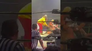 Resin Mania - Wrestler Dabs Focus V CARTA 2