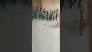 Вязание мушек. Имитация удалась