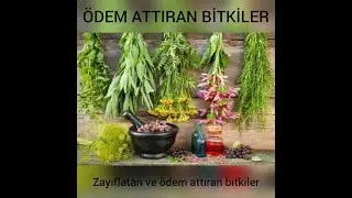 Plants that make edema, plants that weaken...