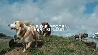 Hund und Katz Leipzig - Teaser