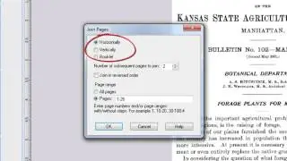 14 Joining scanned pages and images together and page resequencing in PixEdit, Pre-press. PixEdit7.