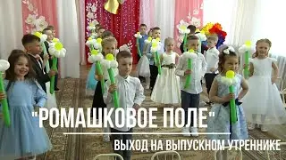 "Ромашковое поле" выход детей на выпускном утреннике