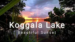 Evening Sunset Koggala Lake |SL CLIPS