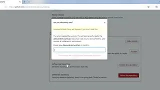 Delete Repositories in GitHub