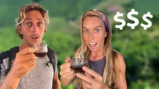 Sumatra Coffee Tour | We Came for the Luwak Coffee, but Discovered This…