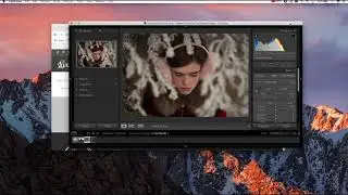 How to Install Presets in Adobe Lightroom Versions 7.3 and Later (XMP files)