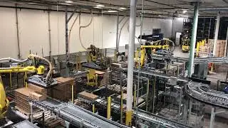 Multi Robot - Multi Lane/product Palletizing
