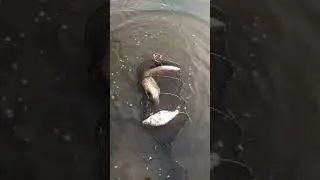 🫣Мастер отделочник впервые за долгое время вырвался на отдых🎣 с любимой женой 🫶 #отдых