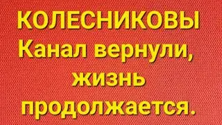 Семья Колесниковых/Новости из Дворца.