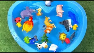 Learn Animals in English Pig Lion Elephant Giraffe Educational Cartoons for Kids