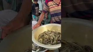 ১৭০০ টাকার বাইম মাছ ক্রয় করলাম কেমন হল।