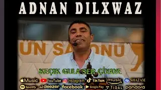 Adnan Dılxwaz Keçık Gula Ser Çiyaye Official Audio