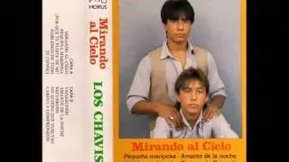 LOS CHAVIS vagabundo