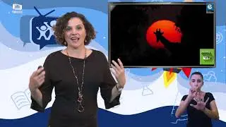 6º ANO - ARTE - POSITIVO E NEGATIVO: SILHUETAS