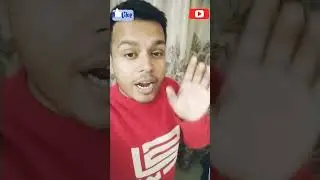 NodeList vs HTMLCollection