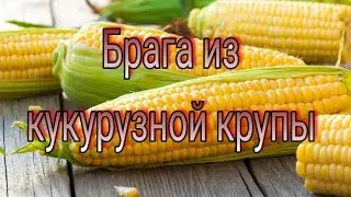 Кукурузная брага