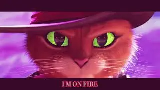 blackout - puss in boots edit