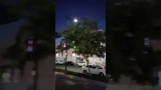 Почему в Ташкенте так красиво? ☺ 