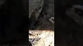 Ремонт на в поле