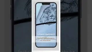14 ноября 2023 г.