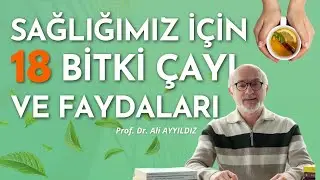 Sağlığımız için Hangi Bitki Çaylarını Tüketelim?