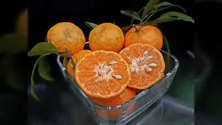 Мandarin citrus nobilis