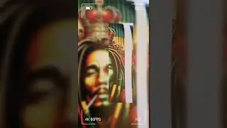 Bob Marley Birthday Vending Machin: (Glimpse)