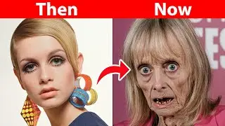 50 Actors from Classic TV Series of the 60s and 70s | THEN and NOW