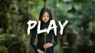 Alan Walker - Play (Lyrics) ft. K-391, Tungevaag and Mangoo