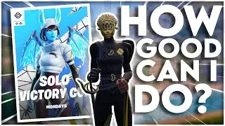 How Well Can I Do in a Solo Fortnite Tournament.....