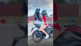 WiMdaGi Men 🐊