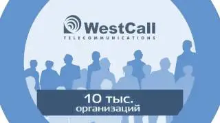 Вест Колл