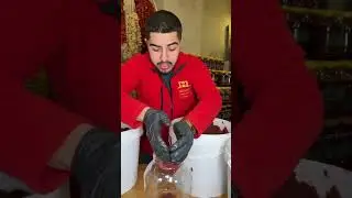 Tam Mevsiminde Sizler İçin Yaptığımız Güneş Kurusu Salçalarımız 🥫🤩
