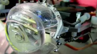 Animatronic Robot Eye Details