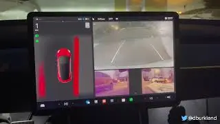 Tesla - 2021.44.25.6 - V11 Backup Camera Issues