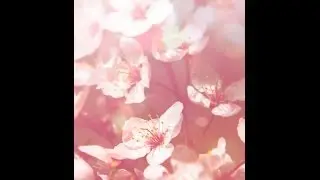Aperture Speaks Dreamy Effect