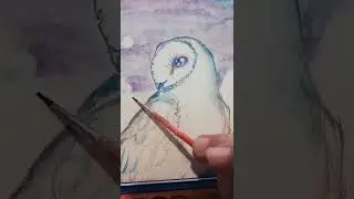 Watercolor painting 🎨