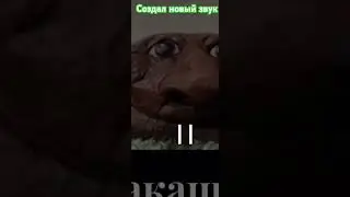 7 июня 2024 г.
