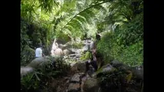 Summer-December Hawaii