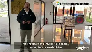 Testimoniales ganadores premios Operation Pollinator - Daniela Bignotti y Ramiro Paillalef