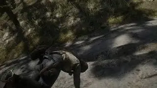 •Ragdoll• |Red Dead Redemption 2|